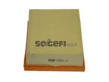 Air Filter (CA5501)