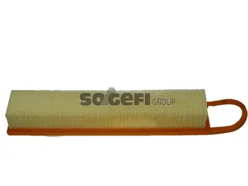 Air Filter (CA10418)