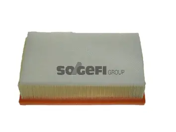 Air Filter (CA10417)