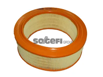 Air Filter (CA4385)