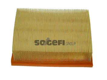 Air Filter (CA5681)