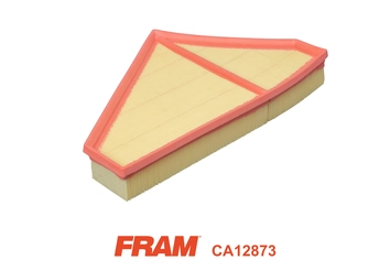 Air Filter (CA12873)