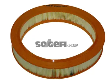 Air Filter (CA3333)