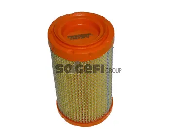 Air Filter (CA622APL)