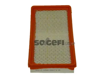 Air Filter (CA7421)