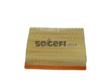 Air Filter (CA8824)