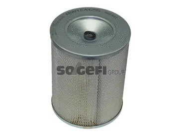 Air Filter (CA4255)