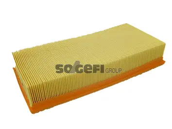 Air Filter (CA11100)