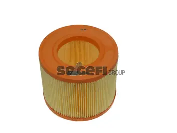 Air Filter (CA5994)