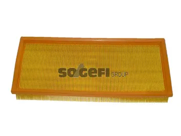 Air Filter (CA5780)