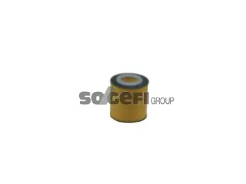 Oil Filter (CH11651ECO)