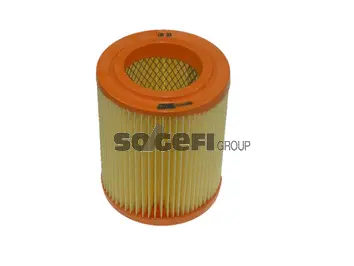 Air Filter (CA9493)