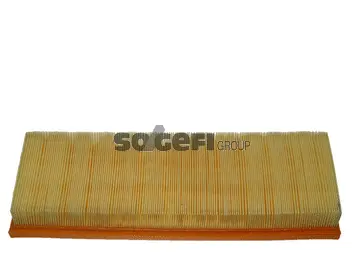 Air Filter (CA5494)