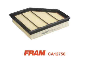 Air Filter (CA12756)