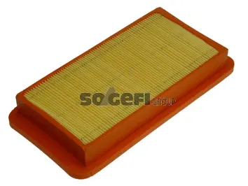 Air Filter (CA6394)