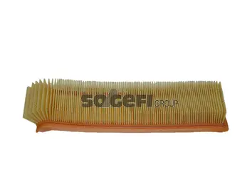 Air Filter (CA5463)