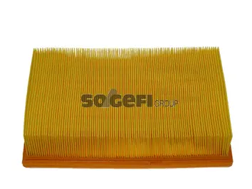 Air Filter (CA5377)