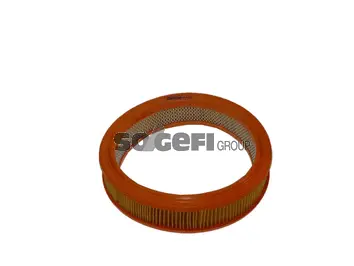 Air Filter (CA2718)