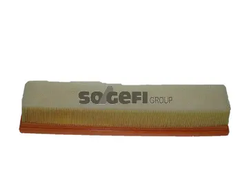 Air Filter (CA10250)