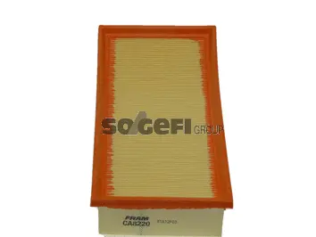 Air Filter (CA8220)