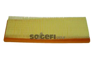 Air Filter (CA5517A)