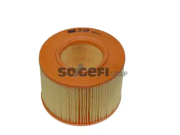Air Filter (CA5229)