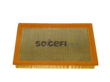 Air Filter (CA8817)
