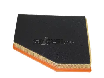 Air Filter (CA10663)