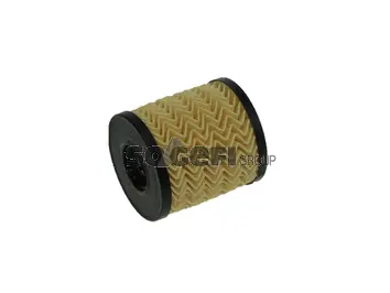 Oil Filter (CH10717AECO)