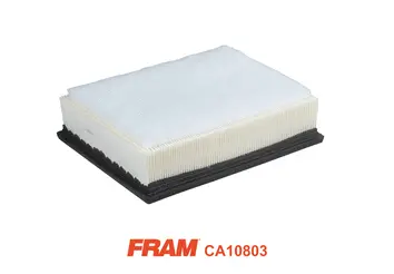 Air Filter (CA10803)