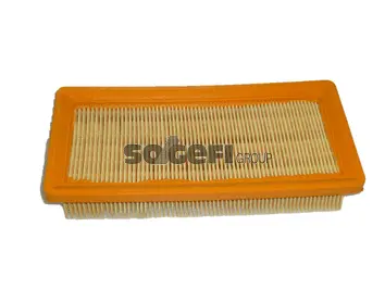 Air Filter (CA5495)