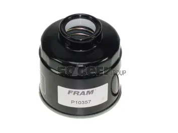 Fuel Filter (P10357)