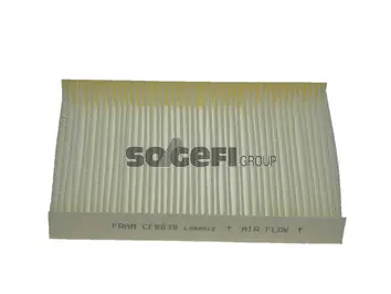 Filter, cabin air (CF8838)