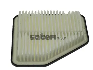 Air Filter (CA10169)