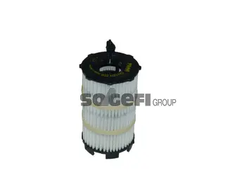 Oil Filter (CH11079ECO)