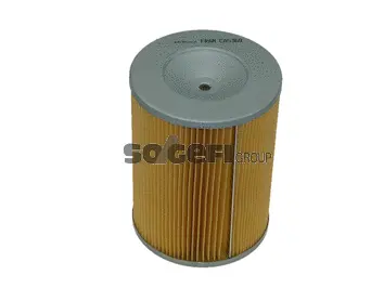 Air Filter (CA5369)