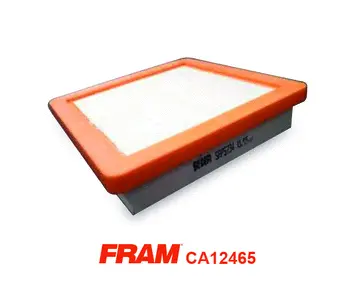 Air Filter (CA12465)