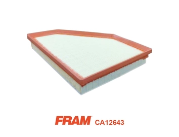 Air Filter (CA12643)