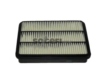 Air Filter (CA8918)