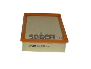 Air Filter (CA9694)