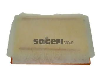 Air Filter (CA10399)