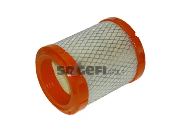 Air Filter (CA9053)