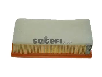 Air Filter (CA10224)