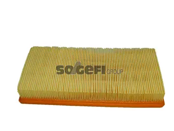 Air Filter (CA3660)