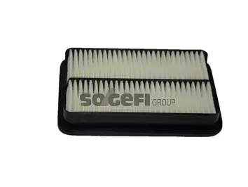 Air Filter (CA5466)