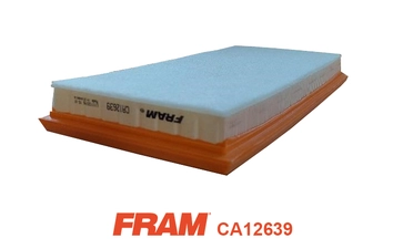 Air Filter (CA12639)