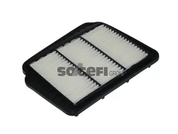 Air Filter (CA10519)