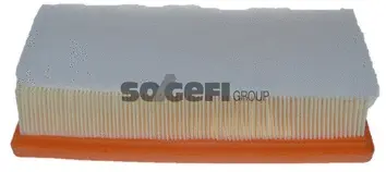 Air Filter (CA12033)