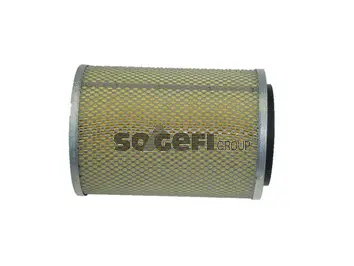 Air Filter (CA4219)