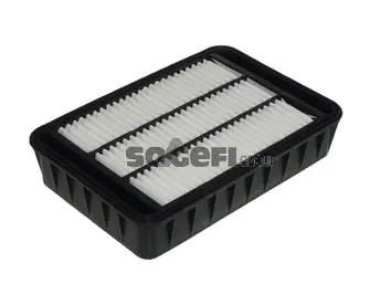 Air Filter (CA11268)